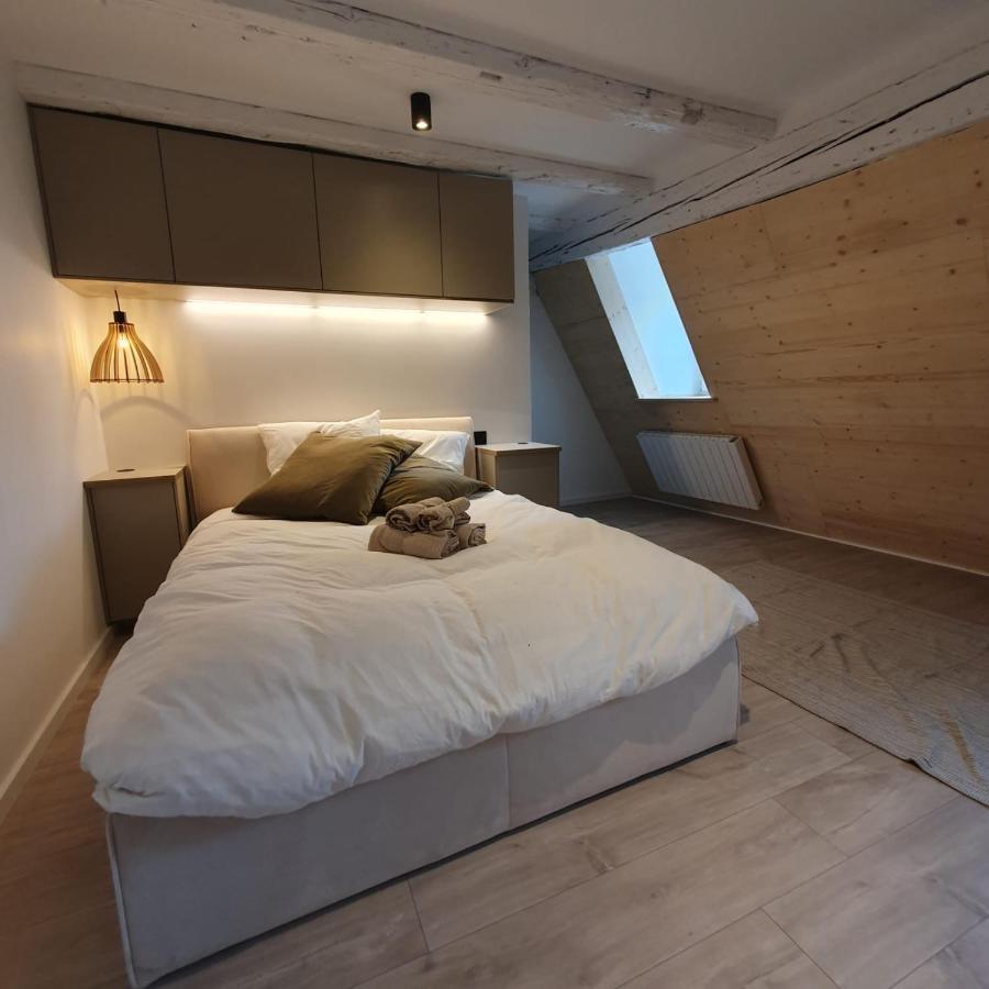Les Appartements Hyper Centre Estrasburgo Exterior foto