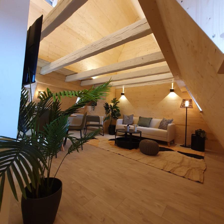 Les Appartements Hyper Centre Estrasburgo Exterior foto