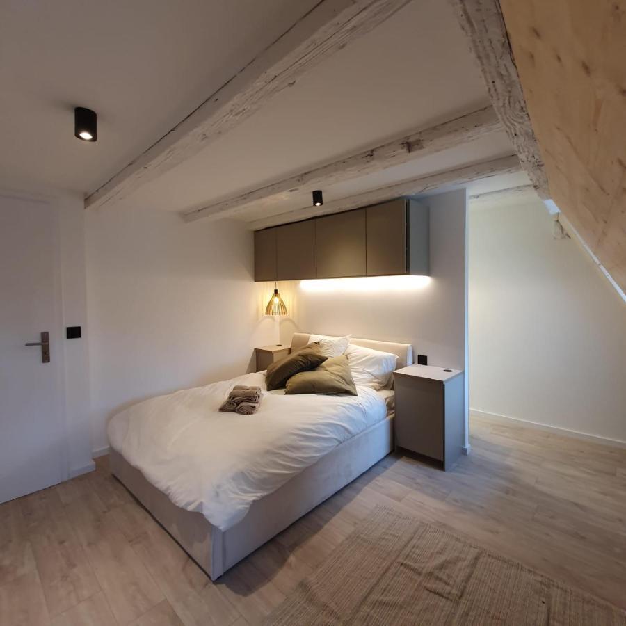 Les Appartements Hyper Centre Estrasburgo Exterior foto